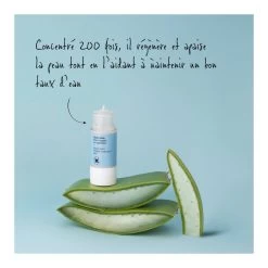 ACTIFS PURS-Actif Pur Aloe Vera-ETAT PUR -Dreamteam cosmétique. ACTIF PUR ALOE VERA 15ML FL 102604286 3