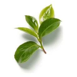 THE RITUAL OF KARMA-Brume Parfumée Corps Et Cheveux - Lotus & Thé Blanc 9 THE RITUAL OF KARMA-Brume Parfumée Corps Et Cheveux - Lotus & Thé Blanc -Dreamteam cosmétique. Brume parfumee corps et cheveux lotus the blanc 102415784 3