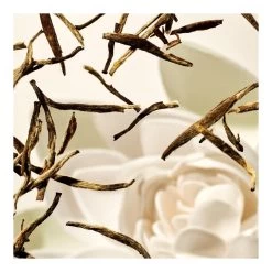 THE RITUAL OF KARMA-Coffret Voyage Sun-RITUALS 9 THE RITUAL OF KARMA-Coffret Voyage Sun-RITUALS -Dreamteam cosmétique. Coffret voyage sun 102571314 3