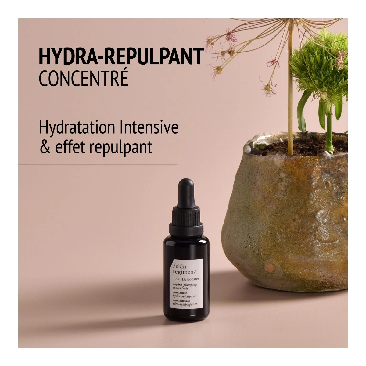 SKIN REGIMEN-Concentré Hydra-repulpant - Hyaluronic Booster-COMFORT ZONE 4 SKIN REGIMEN-Concentré Hydra-repulpant - Hyaluronic Booster-COMFORT ZONE – Image 2