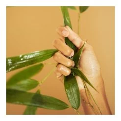 BAMBOO-Crème à Effet Poudré-ERBORIAN -Dreamteam cosmétique. Creme a effet poudre 101959384 2