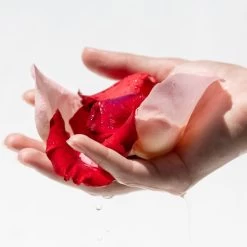 ROSE SAUVAGE-Crème Moussante Nettoyante éclat Visible-KORRES -Dreamteam cosmétique. Creme moussante nettoyante eclat visible 102434715 2