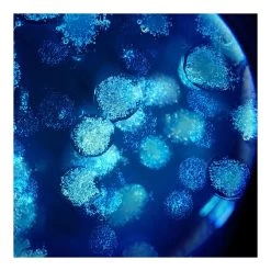 BIOVERGETURES-Gel-crème Anti-vergetures Prévient & Réduit-BIOTHERM -Dreamteam cosmétique. Gel creme prevention et reduction des vergetures 100002223 3