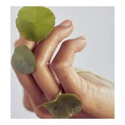 CENTELLA CLEANSING GEL-Gel Nettoyant Doux à La Centella Asiatica Apaisante-ERBORIAN 9 CENTELLA CLEANSING GEL-Gel Nettoyant Doux à La Centella Asiatica Apaisante-ERBORIAN -Dreamteam cosmétique. Gel nettoyant apaisant 102019095 3