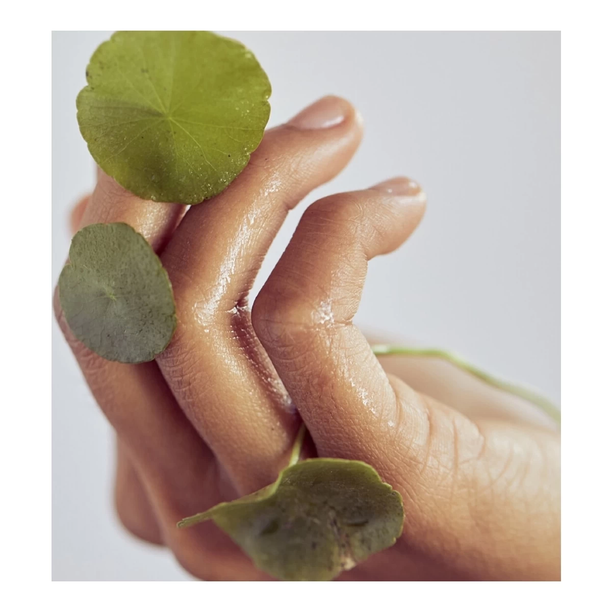 CENTELLA CLEANSING GEL-Gel Nettoyant Doux à La Centella Asiatica Apaisante-ERBORIAN 6 CENTELLA CLEANSING GEL-Gel Nettoyant Doux à La Centella Asiatica Apaisante-ERBORIAN – Image 4