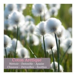 ICE PURE-Kit Duo Eau Micellaire Cristalline Au Coton Arctique Sans Parfum-Polaar -Dreamteam cosmétique. Kit duo eau micellaire cristalline au coton arctique sans parfum 102208620 3