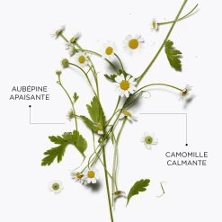 INTRAL-Lait à Démaquiller à La Camomille-DARPHIN -Dreamteam cosmétique. Lait a Demaquiller a la Camomille 101549246 2