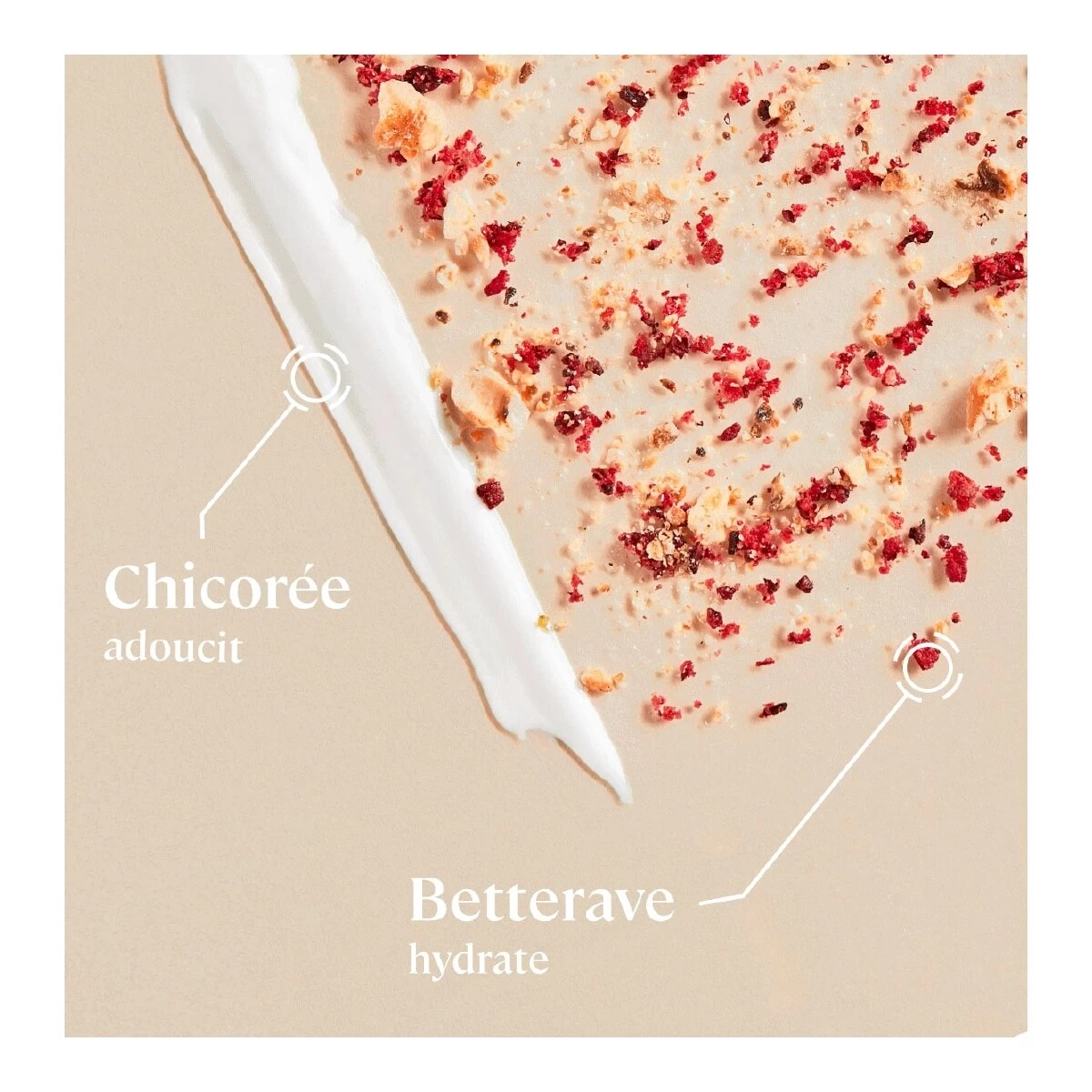 CLEAN-HYDRA-Lait Démaquillant - Betterave, Chicorrée & Aloe Vera-CULTIV 6 CLEAN-HYDRA-Lait Démaquillant - Betterave, Chicorrée & Aloe Vera-CULTIV – Image 4