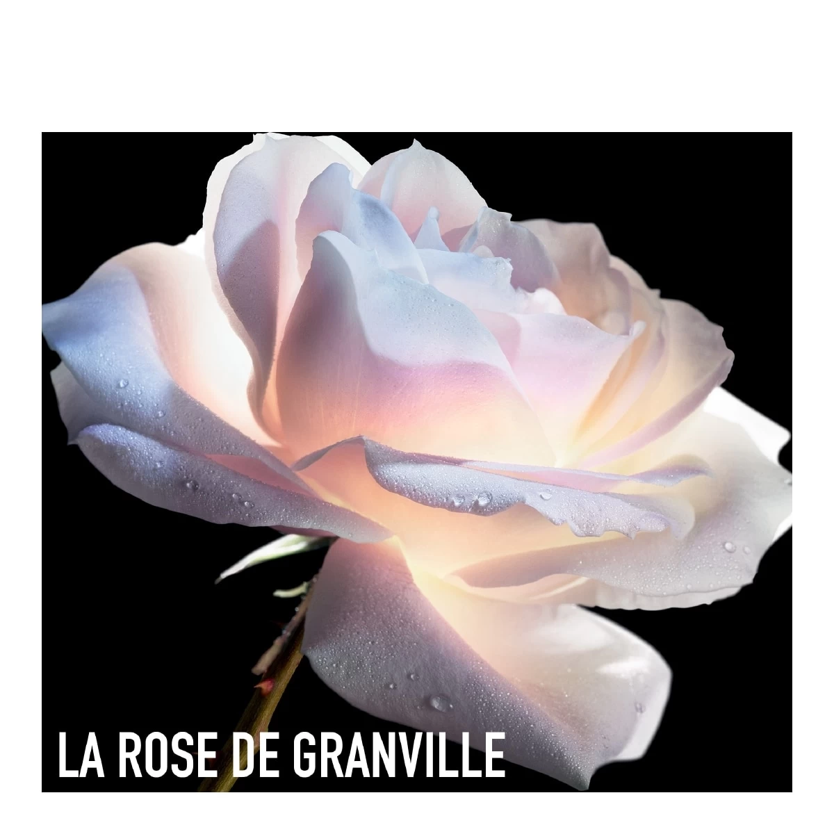 DIOR PRESTIGE-Masque Exfoliant Visage Et Resurfaçant D'exception-DIOR 5 DIOR PRESTIGE-Masque Exfoliant Visage Et Resurfaçant D'exception-DIOR – Image 3