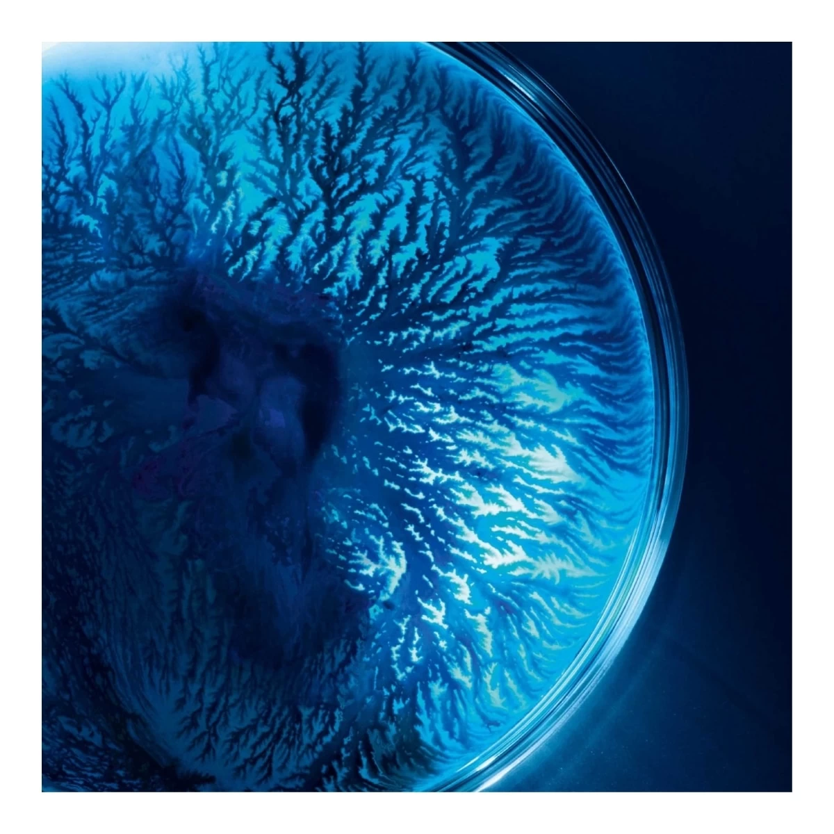 LIFE PLANKTON™-Masque Hydratant & Régénérant Actif Fondamental-BIOTHERM 4 LIFE PLANKTON™-Masque Hydratant & Régénérant Actif Fondamental-BIOTHERM – Image 2