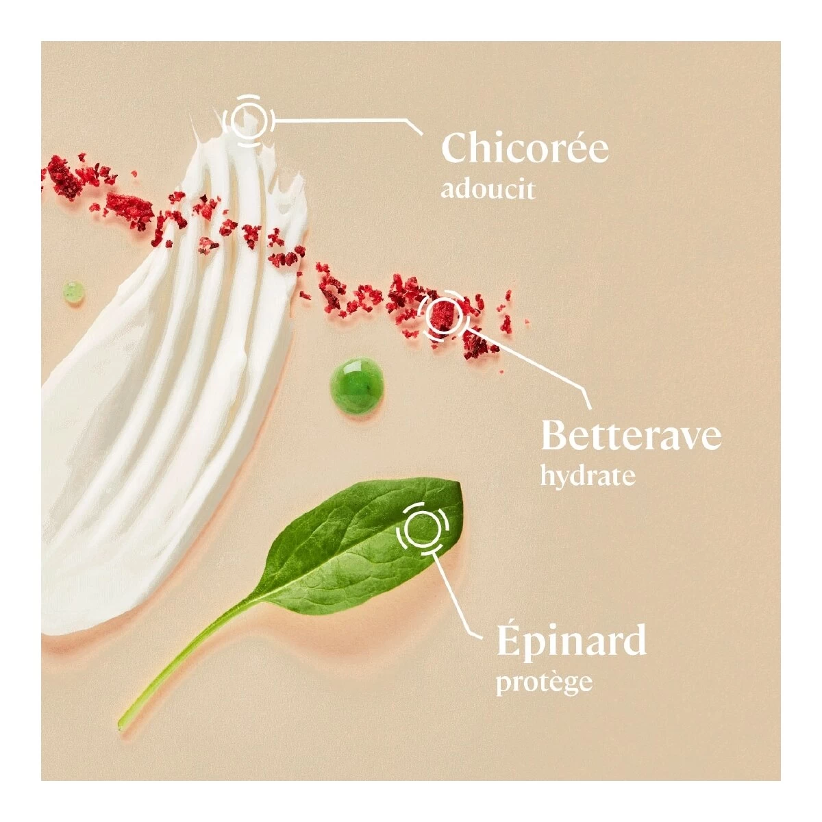 HYDRA-PEELING-Masque Visage Hydratant - Betterave, épinard & Chicorée-CULTIV 5 HYDRA-PEELING-Masque Visage Hydratant - Betterave, épinard & Chicorée-CULTIV – Image 3