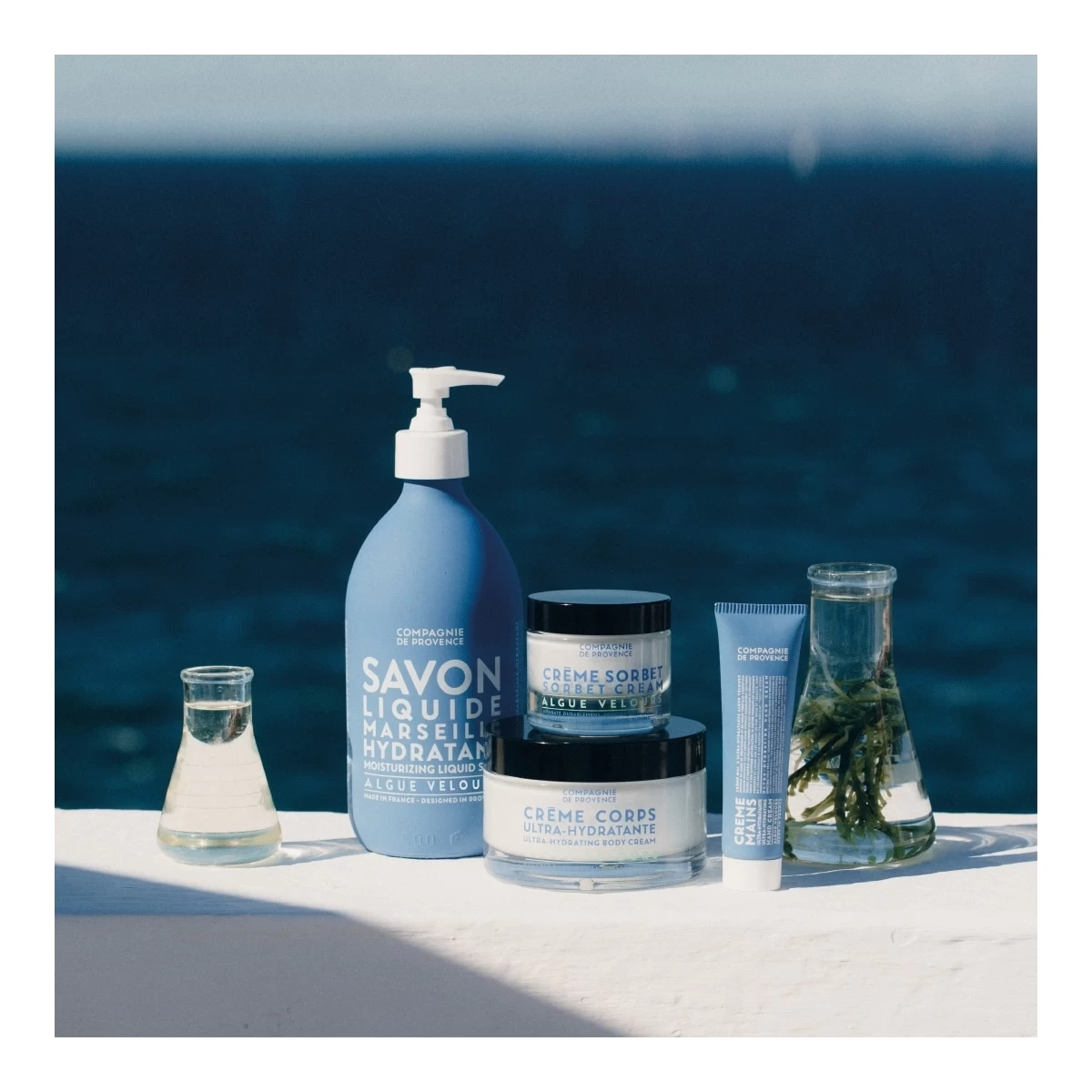 ALGUE VELOURS-Savon Liquide De Marseille-LA COMPAGNIE DE PROVENCE 5 ALGUE VELOURS-Savon Liquide De Marseille-LA COMPAGNIE DE PROVENCE – Image 3