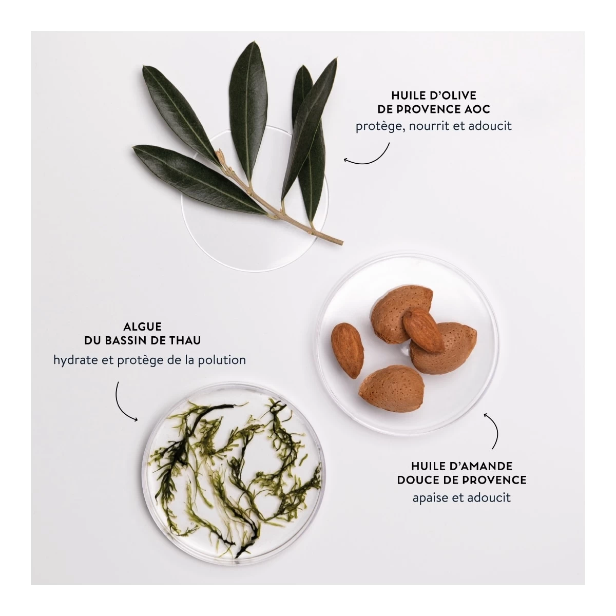 ALGUE VELOURS-Savon Liquide De Marseille-LA COMPAGNIE DE PROVENCE 6 ALGUE VELOURS-Savon Liquide De Marseille-LA COMPAGNIE DE PROVENCE – Image 4