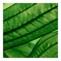 AQUASOURCE-Sérum Régénérant Hydratation & éclat-BIOTHERM -Dreamteam cosmétique. Serum regenerant hydratation eclat 102336162 3