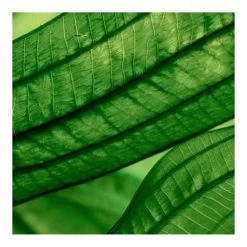 AQUASOURCE NIGHT SPA-Soin De Nuit Triple Effet : Réhydrate, Repulpe & Illumine-BIOTHERM -Dreamteam cosmétique. Soin de nuit triple effet rehydrate lisse et apaise 100667321 2